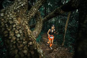 BIB: 
                            <button type="button" onclick="openModal(25696767)" class="btn btn-primary btn-sm float-right btn-popup" data-toggle="modal" data-target=".modal-high-quality">
                        <i class="fas fa-shopping-cart"></i> Add to Cart
                    </button>
                                            <button type="button" onclick="isThisMe(25696767, true)" class="btn btn-success btn-sm float-right btn-popup btn-isme hidden" data-toggle="tooltip" data-placement="bottom" title="นี่คือรูปของคุณใช่ไหม คลิกที่นี่เพื่อเอาเข้าอัลบั้ม">
                        <i class="fas fa-plus"></i> Add to album
                    </button>
                    <button type="button" onclick="isThisMe(25696767, false)" class="btn btn-warning btn-sm float-right btn-popup btn-isnotme hidden">
                        <i class="fas fa-ban"></i> Remove from album
                    </button>